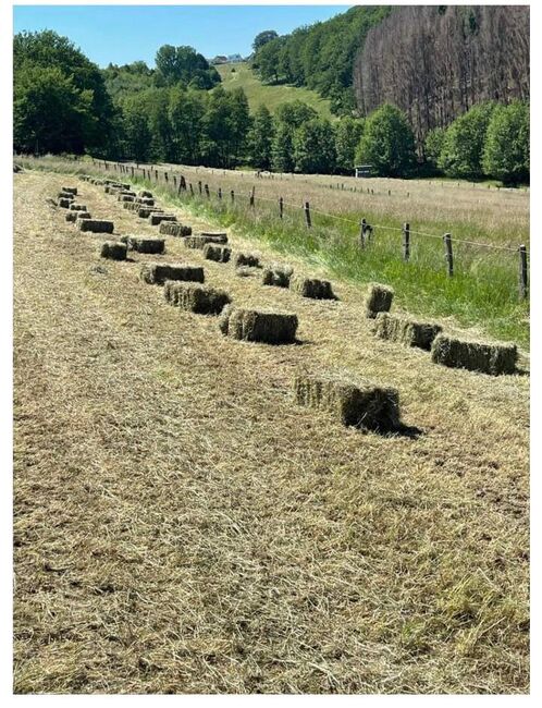 Heuballen, 1 und 2 schnitt, Landgrafe , Pferdefutter, Wuppertal