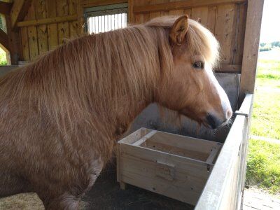 Heubox Slowfeeder Heuraufe Pferd Pony Neu, Der Holzbock Slowfeeder, Der Holzbock (Der Holzbock), Heunetze, Säcke & Raufen, Sontheim, Abbildung 3