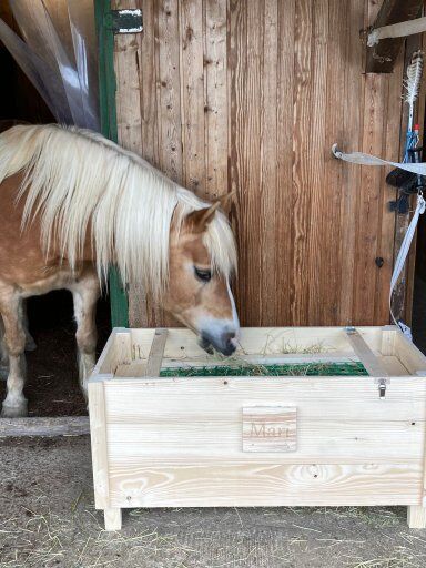 Heubox Slowfeeder Heuraufe Pferd Pony Neu, Der Holzbock Slowfeeder, Der Holzbock (Der Holzbock), Heunetze, Säcke & Raufen, Sontheim, Abbildung 6