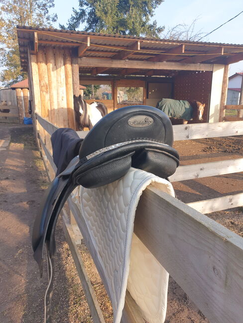 Hidalgo Lederbaum Ponysattel, Hidalgo  Lederbaum , Mandy, All Purpose Saddle, Heringen , Image 5