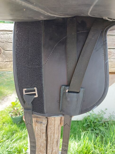 Hidalgo Lederbaumsattel Phönix 18", Hidalgo Phönix , Babsi , Dressage Saddle, Schönau an der Triesting, Image 4