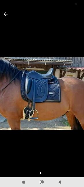 Hidalgo Roma Lederbaum Sattel 17,5 Zoll, Hidalgo, Sabine, Dressage Saddle, Orth an der Donau