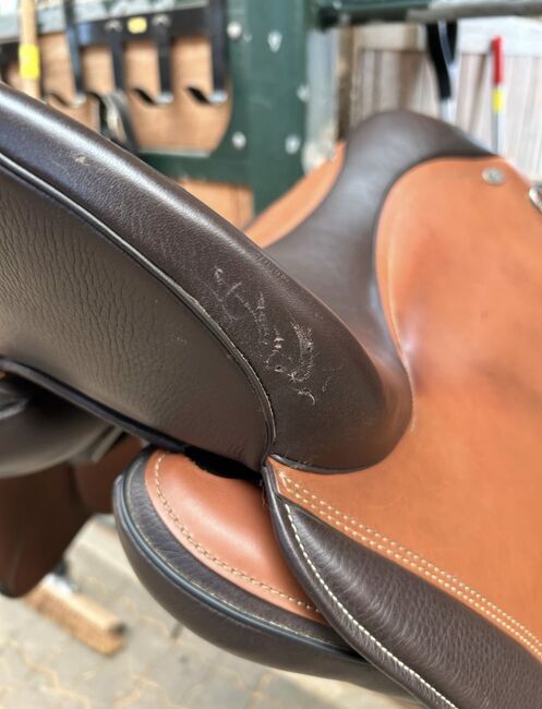 Hidalgo Santiago PFT, 17,5, Hidalgo  Santiago, Kristina Paul, Baroque Saddle, Nümbrecht , Image 4