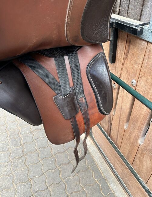 Hidalgo Santiago PFT, 17,5, Hidalgo  Santiago, Kristina Paul, Baroque Saddle, Nümbrecht , Image 6