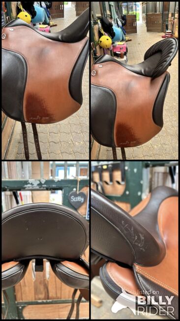 Hidalgo Santiago PFT, 17,5, Hidalgo  Santiago, Kristina Paul, Baroque Saddle, Nümbrecht , Image 11