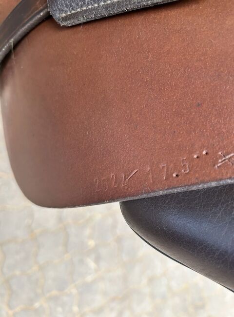 Hidalgo Santiago PFT, 17,5, Hidalgo  Santiago, Kristina Paul, Baroque Saddle, Nümbrecht , Image 8
