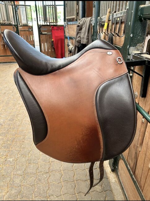 Hidalgo Santiago PFT, 17,5, Hidalgo  Santiago, Kristina Paul, Baroque Saddle, Nümbrecht , Image 10
