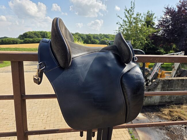 Hidalgo Valencia Shorty, Hidalgo  Valencia Shorty , Emma, Baroque Saddle, Mohrkirch