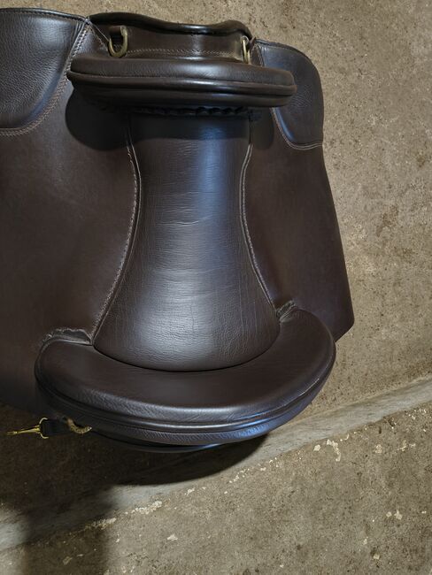 Hidalgo Valencia Spezial braun, Hidalgo  Valencia Spezial , Steffi , Baroque Saddle, Hagen, Image 3