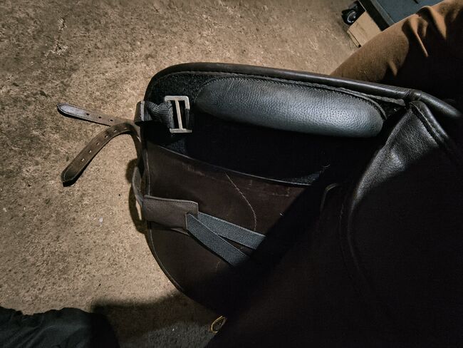 Hidalgo Valencia Spezial braun, Hidalgo  Valencia Spezial , Steffi , Baroque Saddle, Hagen, Image 6