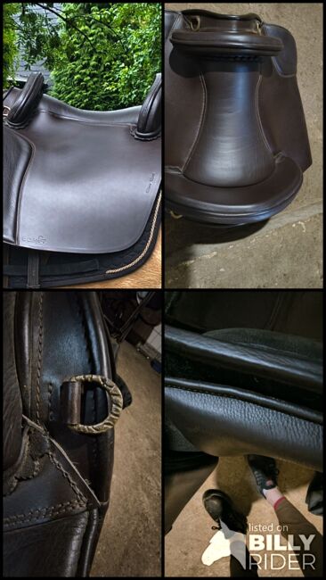 Hidalgo Valencia Spezial braun, Hidalgo  Valencia Spezial , Steffi , Baroque Saddle, Hagen, Image 8