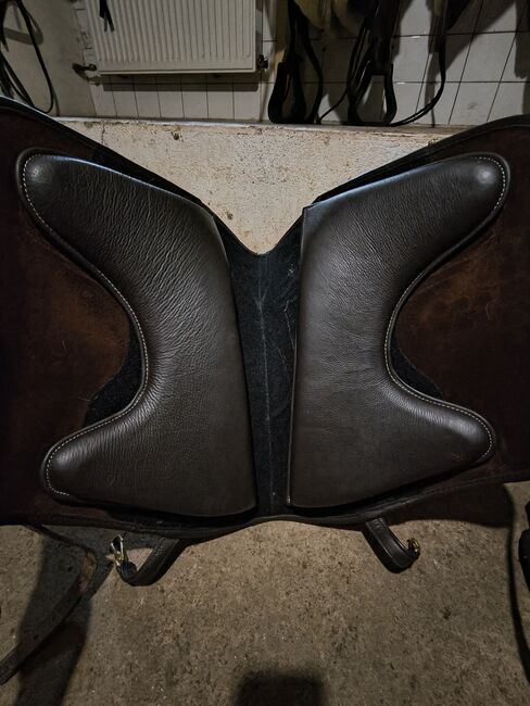 Hidalgo Valencia Spezial braun, Hidalgo  Valencia Spezial , Steffi , Baroque Saddle, Hagen, Image 4