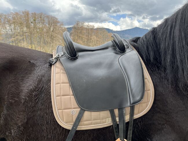 Hidalgo Valencia special Lederbaumsattel, Hidalgo Valencia Spezial, Jessica, Other Saddle, Weißenbach Gumitsch