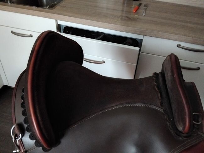 Hidalgo valentia II braun, Hidalgo Valencia II, Lydia, Treeless Saddle, Linz