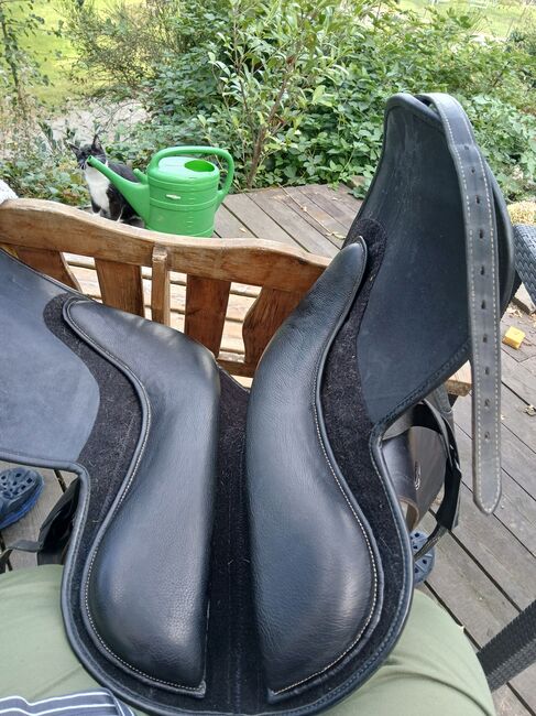 Hidalgo venice special 19', Hidalgo Venice special, melanie, Dressage Saddle, Altenkirchen, Image 2