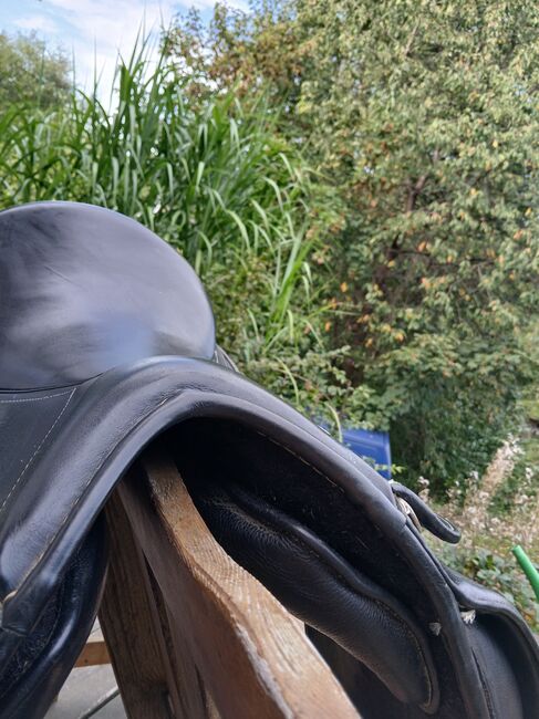 Hidalgo venice special 19', Hidalgo Venice special, melanie, Dressage Saddle, Altenkirchen, Image 5
