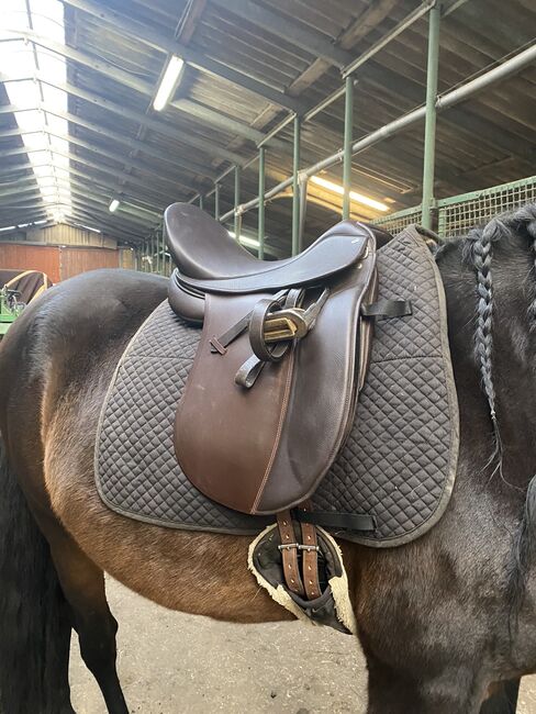 Hidalgo Venice Spezial PFT, Hidalgo  Venice Spezial, Lea, Dressage Saddle, Sassenburg