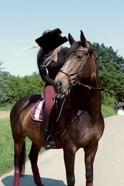 **Gehobenes Freizeitpferd, Dressurpferd, braune Stute, 8 Jahre **, Caroline , Horses For Sale, Wetter, Image 6