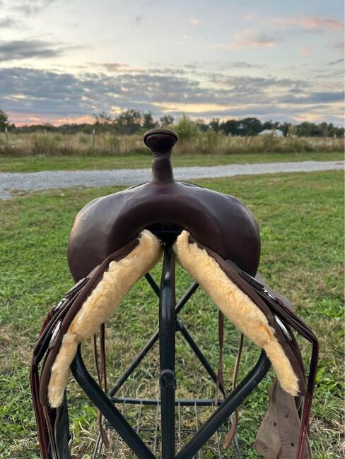 High Horse By Circle Y Gaited Tree 17” Saddle, Circle Y , rayp, Other, Indiana 