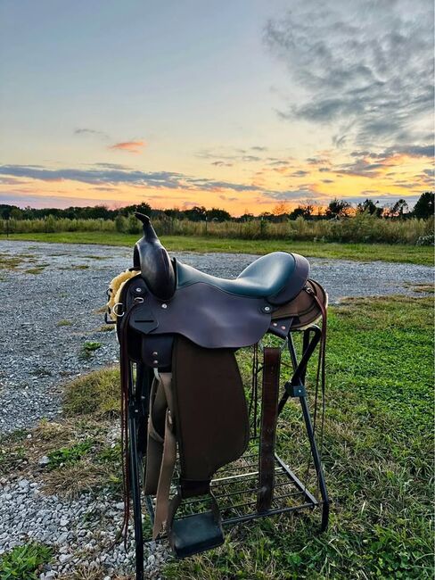 High Horse By Circle Y Gaited Tree 17” Saddle, Circle Y , rayp, Other, Indiana , Image 2