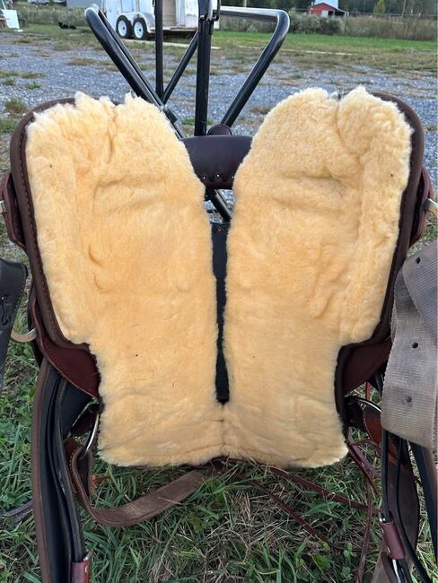 High Horse By Circle Y Gaited Tree 17” Saddle, Circle Y , rayp, Other, Indiana , Image 5