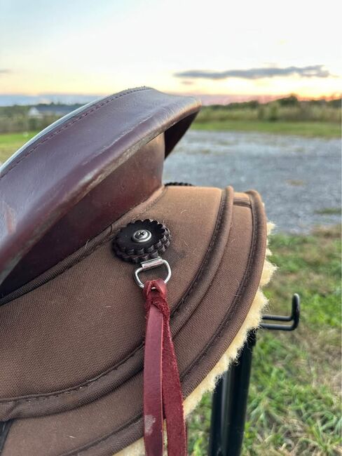 High Horse By Circle Y Gaited Tree 17” Saddle, Circle Y , rayp, Other, Indiana , Image 6