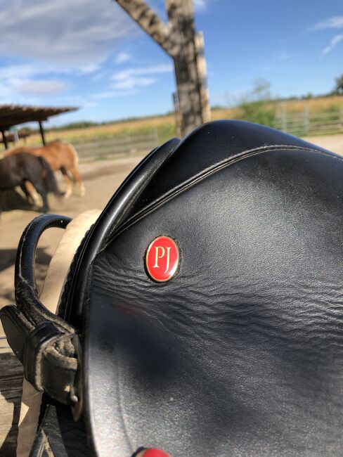 Highländer Sattel für wenig Widerrist, Highlander, Lisa Link, Lambskin Pad, Miesbach , Image 2