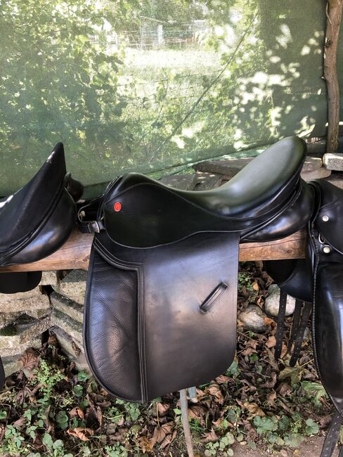 Highländer Sattel für wenig Widerrist, Highlander, Lisa Link, Lambskin Pad, Miesbach , Image 5