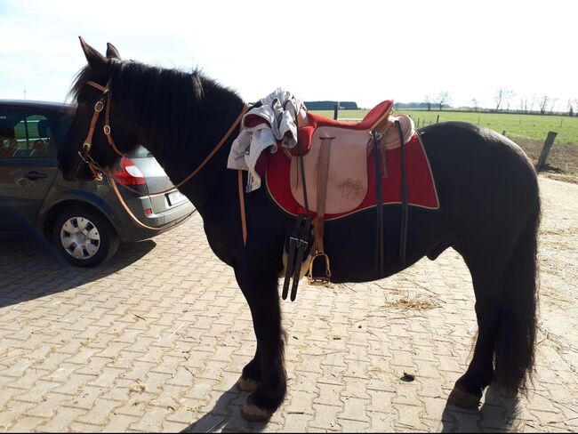 Wanderreitsattel, Maßsattel  Endurance Sattelbaum , Nicole , Endurance Saddle, Herbstein, Image 3