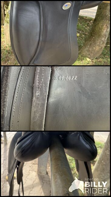 Hilbar Keila Sattel, Hilbar Keila, Kimberley Fauser, Icelandic Saddle, Dürnau, Image 4