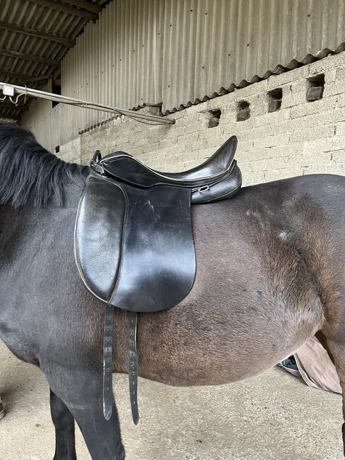 Hilbar Leistur Dressursattel 17,5 Zoll Kerstin Baden, Hilbar Leistur, Maya  Schmitz , Dressage Saddle, Bonn