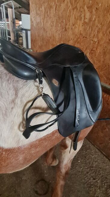 Hilbar Royal Compact Base Islandpferdesattel, Hilbar Compact Base, Jasmin Gast, Icelandic Saddle, Wedemark, Image 4