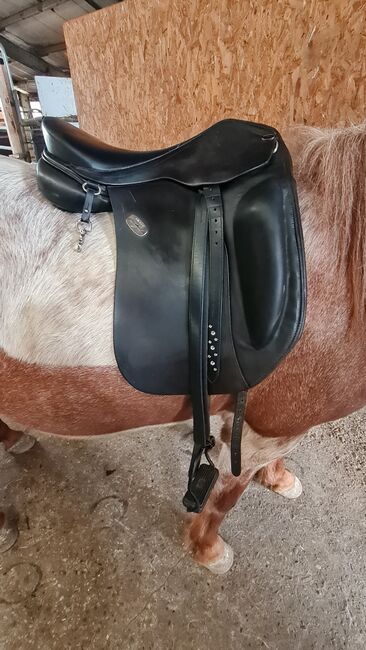 Hilbar Royal Compact Base Islandpferdesattel, Hilbar Compact Base, Jasmin Gast, Icelandic Saddle, Wedemark, Image 6