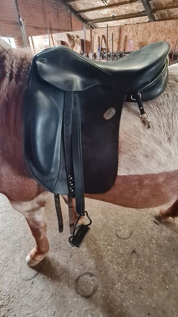 Hilbar Royal Compact Base Islandpferdesattel, Hilbar Compact Base, Jasmin Gast, Icelandic Saddle, Wedemark, Image 5