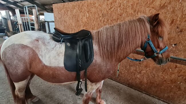 Hilbar Royal Compact Base Islandpferdesattel, Hilbar Compact Base, Jasmin Gast, Icelandic Saddle, Wedemark, Image 2
