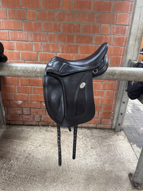 Hilbar Royal Exclusiv Sattel, Hilbar  Royal Exclusiv , Lara, Icelandic Saddle, Ostbevern 