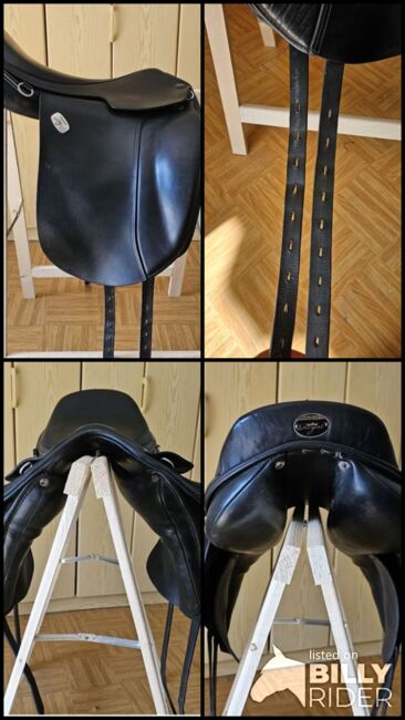 Hilbar Royal Classic, Hilbar, Monika, Icelandic Saddle, Ansbach, Image 10