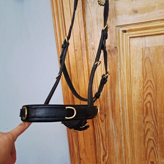 HILBURY Kappzaum Warmblut, Hilbury  Kappzaum , Julia P., Other, Köln