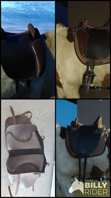 Hildalgo baumloser Sattel, Hildalgo  Valencia II, Ronja Marklstorfer , Treeless Saddle, Neufahrn in NB, Image 6
