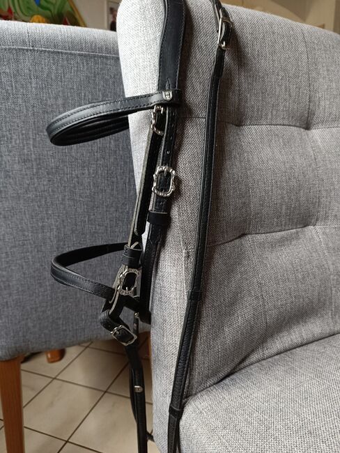 Hillbury Barocktrense Calvero, Hillbury  Calvero , Daniela Kohlhofer , Bridles & Headstalls, Dietmanns, Image 5