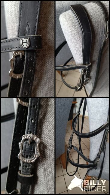 Hillbury Barocktrense Calvero, Hillbury  Calvero , Daniela Kohlhofer , Bridles & Headstalls, Dietmanns, Image 6