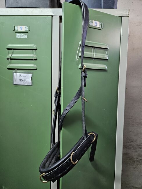 Hillbury Kappzaum Varioso Full, Hillbury Varioso, Hannah, Lunging, Biederitz