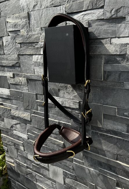 Hillbury Multifunktions-Kappzaum Varioso, Hillbury Varioso, Verena Heiler, Bitless Bridles, Adligenswil, Image 3
