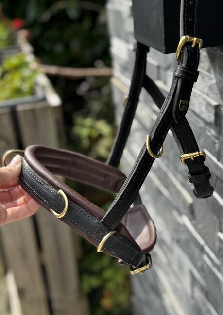 Hillbury Multifunktions-Kappzaum Varioso, Hillbury Varioso, Verena Heiler, Bitless Bridles, Adligenswil