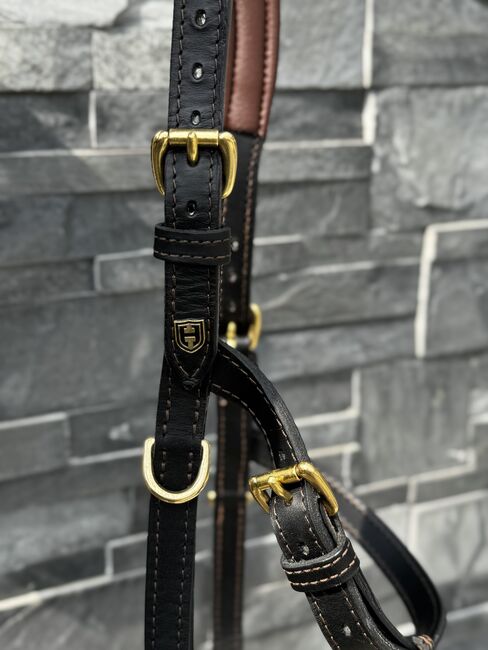 Hillbury Multifunktions-Kappzaum Varioso, Hillbury Varioso, Verena Heiler, Bitless Bridles, Adligenswil, Image 9