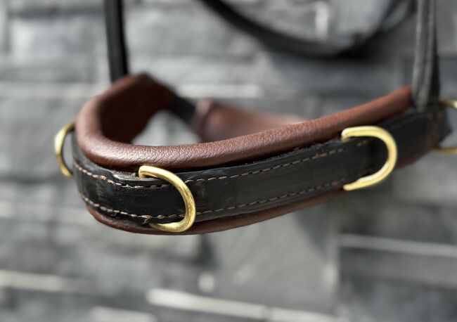 Hillbury Multifunktions-Kappzaum Varioso, Hillbury Varioso, Verena Heiler, Bitless Bridles, Adligenswil, Image 2