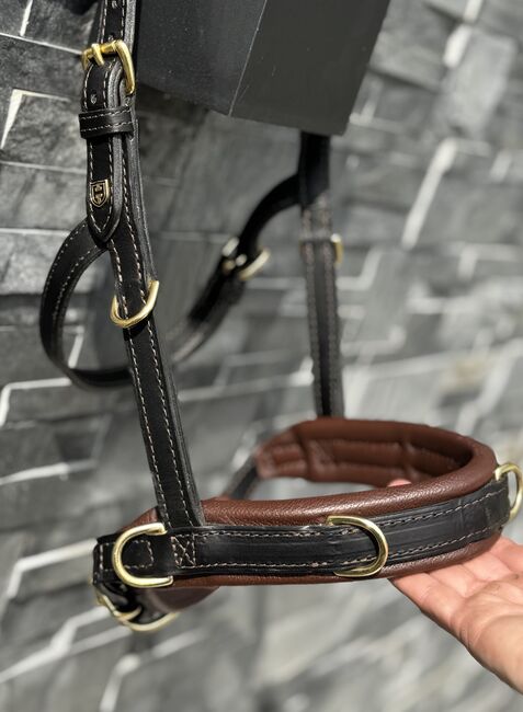 Hillbury Multifunktions-Kappzaum Varioso, Hillbury Varioso, Verena Heiler, Bitless Bridles, Adligenswil, Image 4