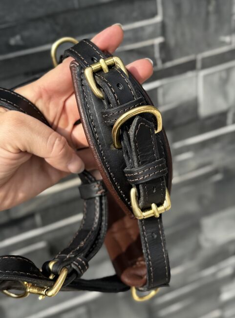 Hillbury Multifunktions-Kappzaum Varioso, Hillbury Varioso, Verena Heiler, Bitless Bridles, Adligenswil, Image 8
