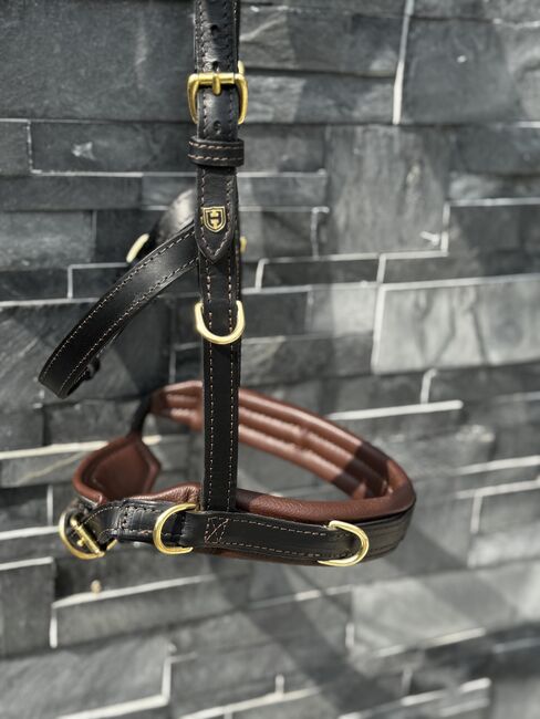 Hillbury Multifunktions-Kappzaum Varioso, Hillbury Varioso, Verena Heiler, Bitless Bridles, Adligenswil, Image 7
