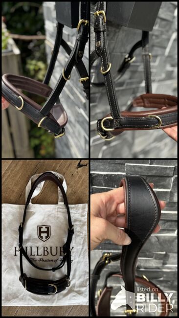 Hillbury Multifunktions-Kappzaum Varioso, Hillbury Varioso, Verena Heiler, Bitless Bridles, Adligenswil, Image 11